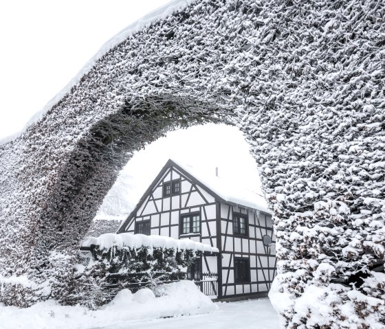 Monschauer Heckenlandschaft im Winter, © Eifel Tourismus GmbH | Dominik Ketz