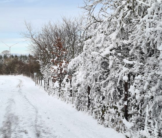 Winterland Abenden