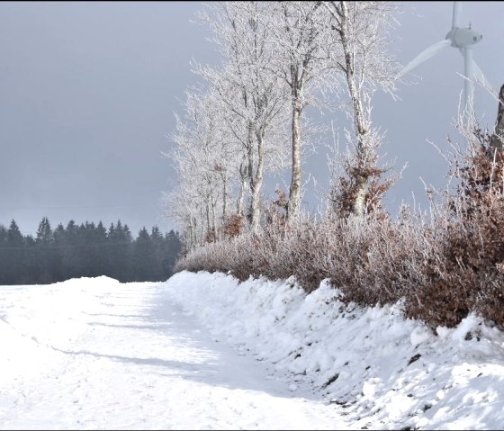 Verschneiter Wanderweg