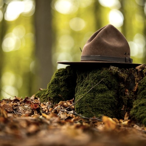 Ranger hat, typical for Eifel National Park rangers, © Tourismus NRW e.V.