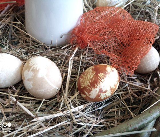 Easter egg coloring, © LVR-Freilichtmuseum Kommern, Hans-Theo Gerhards