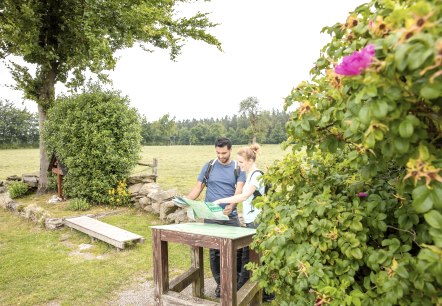 Eifel-Blick Steling, © Eifel Tourismus GmbH, AR-shapefruit AG