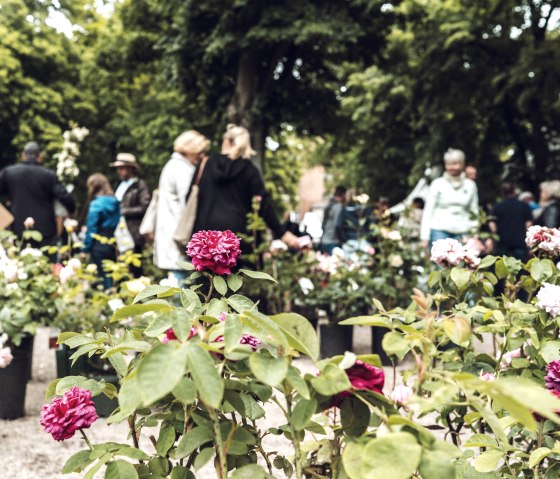 Gartenträume, © Gartentraeume B.V.