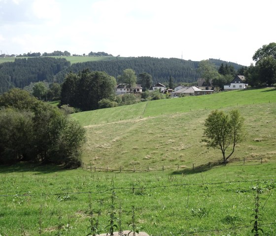 Blick auf zur Mühle