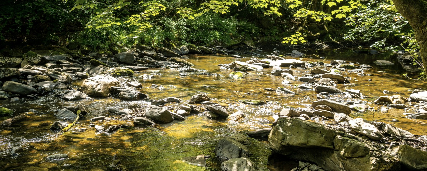 Die Rur bei Dreistegen, © Eifel-Tourismus GmbH, Dominik Ketz