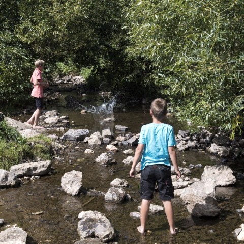 Das Leben im Bach, © Eifelgemeinde Nettersheim