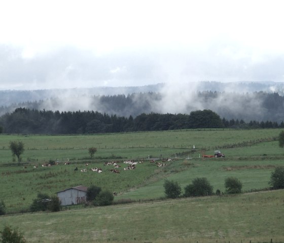 Blick vom Hof, © Nordeifel Tourismus GmbH & Gästehaus Jütten