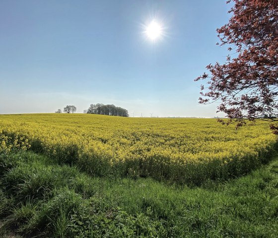 Nideggen-rath auf dem Weg zum Boerdeblick