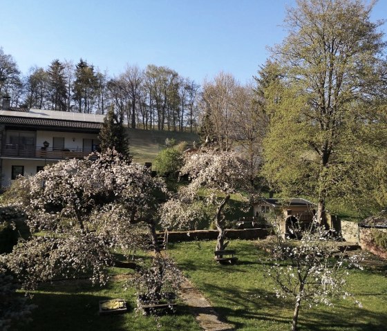 Garten im Sommer, © Nordeifel Tourismus GmbH & Urfterhof Hotel