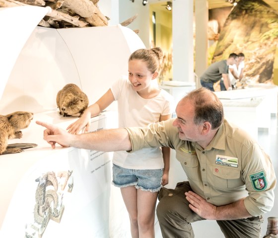 Mit dem Ranger durch das Nationalpark-Zentrum Eife, © Nationalpark Eifel, D. Ketz