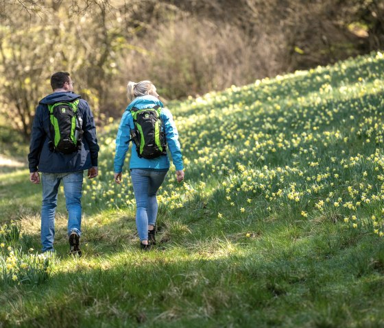 Wanderer bei den Narzissenwiesen, © Eifel Tourismus GmbH, Dominik Ketz