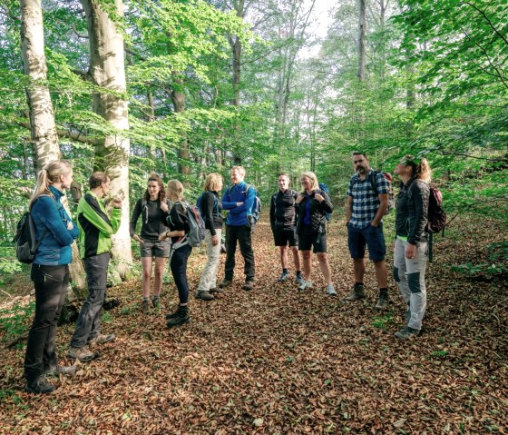 Wanderung Eifelverein, © Paul Meixner