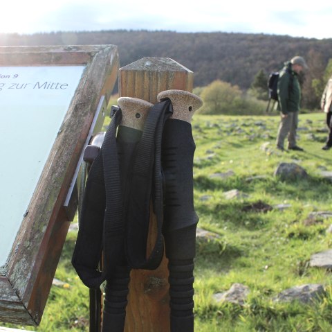 Weg zur Mitte, © Nationalpark Eifel - M.Menninghaus