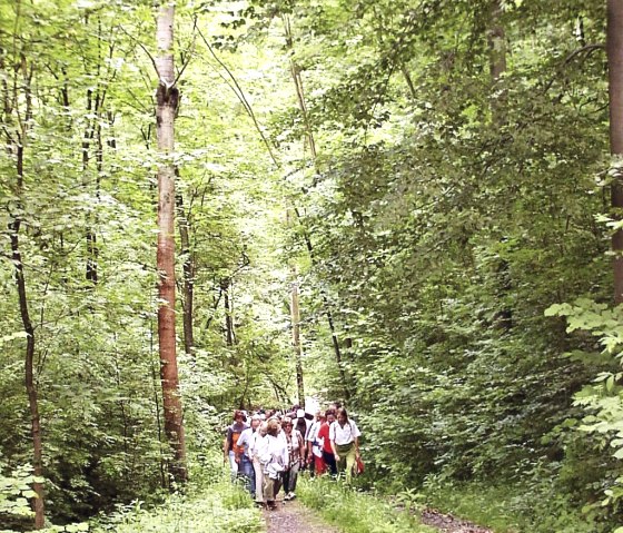 Baldrian, Dost und Dill, © Naturzentrum Eifel