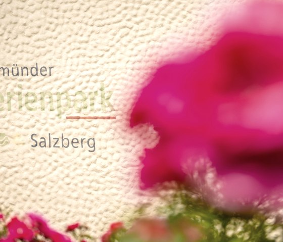 Ferienpark Salzberg-2022-029