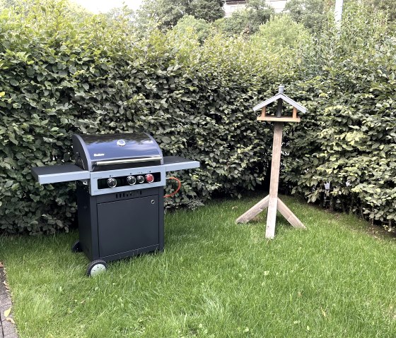 Grill_01