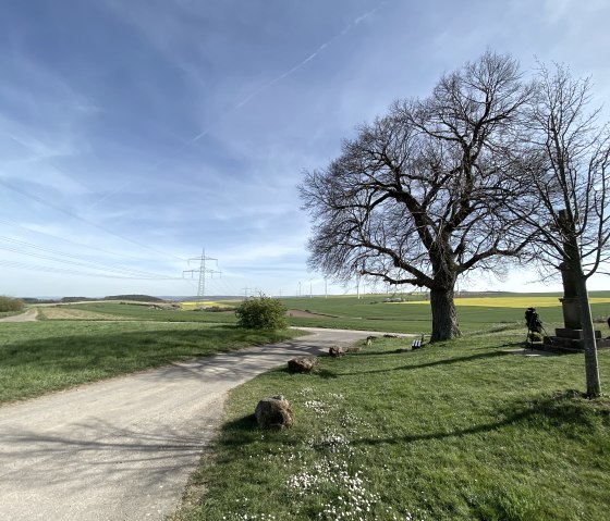 Bördeblick Vlatten