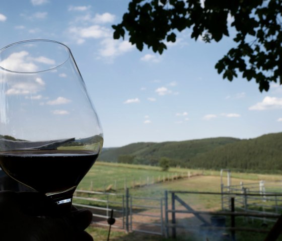 Genuss auf der Gartenterrasse mit Fernblick, © Elke Greven & Nordeifel Tourismus GmbH