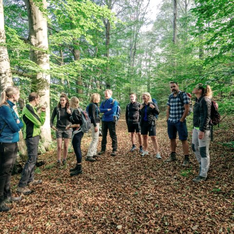 Wanderung Eifelverein, © NeT