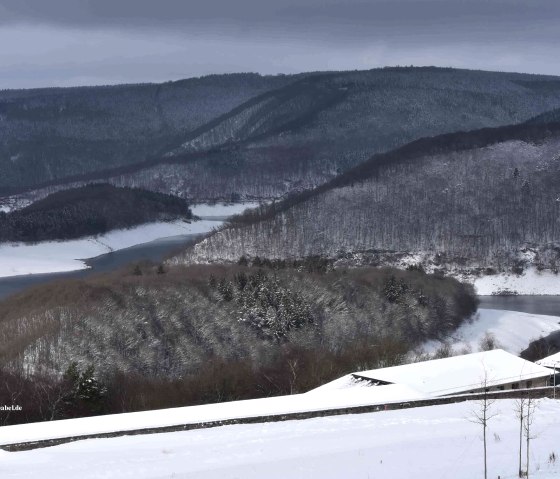 Der Rursee im Winter