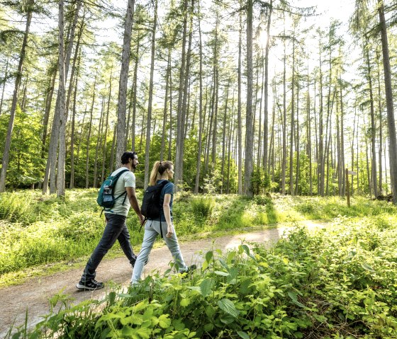 Wandern im Natur-Erlebnisraum Wilder Kermeter, © Eifel Tourismus GmbH, Dominik Ketz