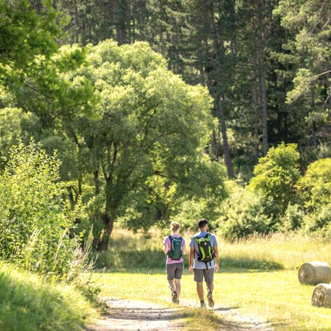 Geführte Wanderung, © Eifel Tourismus GmbH - Dominik Ketz