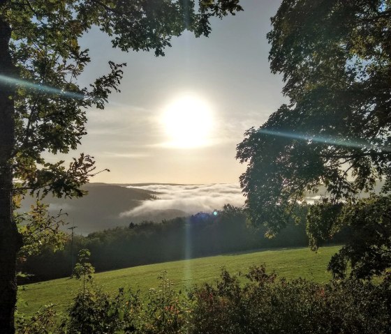 Eifel-Blick Jugendherberge Herbstnebel, © Rursee-Touristik GmbH