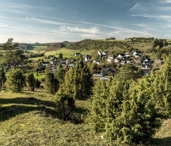 Wacholder auf dem Kalavrienberg, © Eifel Tourismus GmbH, D. Ketz