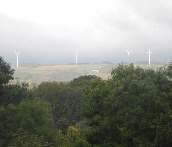 Blick aus dem Küchenfenster_, © Nordeifel Tourismus GmbH & Ferienwohnung Charly