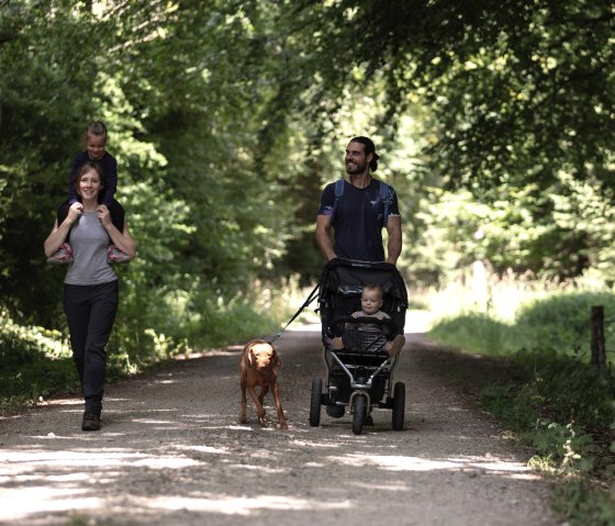 Family hike, © Eifel Tourismus GmbH -Tobias Vollmer