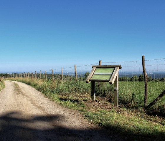 Eifel-Blick mit Infotafel, © Rureifel-Tourismus e.V.