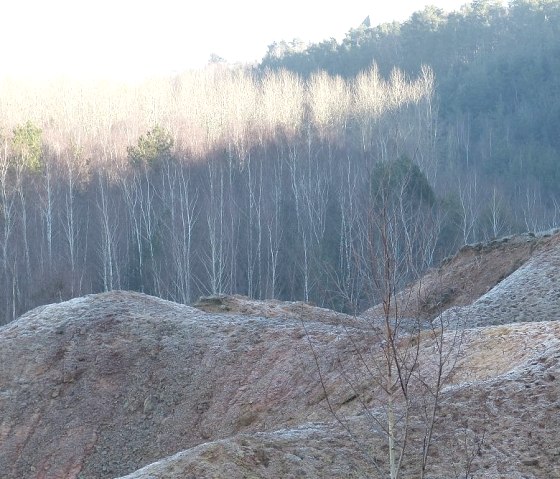 Mining damage area Mechernich, © Alfred Schink