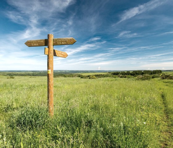 Nationalpark Eifel, © Dominik Ketz & Nordeifel Tourismus GmbH