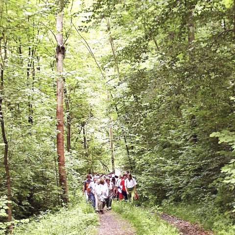 Baldrian, Dost und Dill, © Naturzentrum Eifel