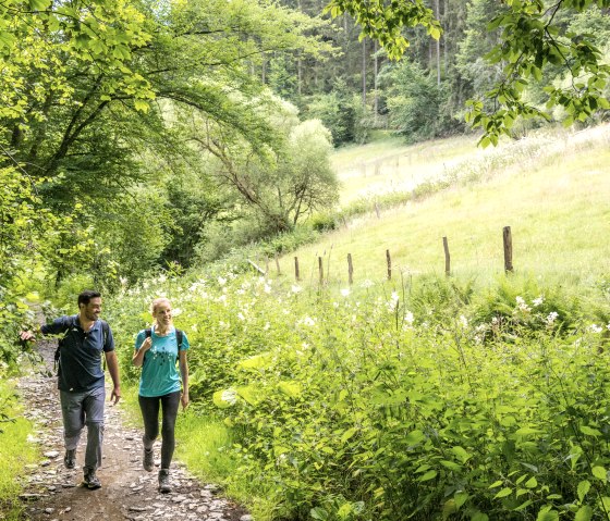 Wanderer auf Wanderwegen durch Wald und Wiesen., © Eifel Tourismus GmbH, Dominik Ketz