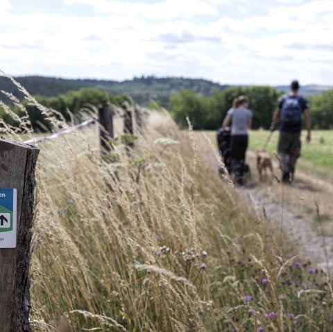 Wanderung für Familien, © Eifel Tourismus GmbH - Tobias Vollmer