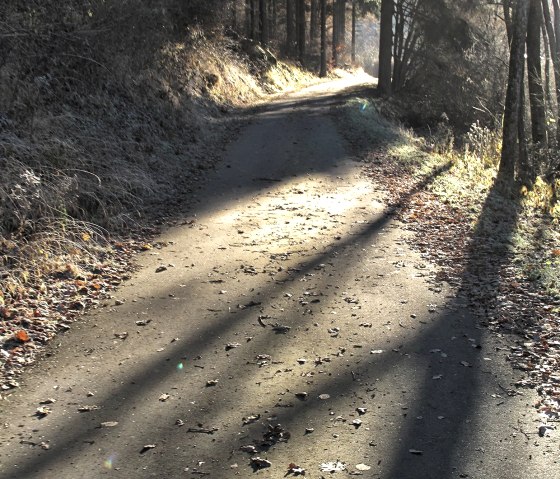 Cycle path, © Nordeifel Tourismus GmbH Zum Goldenen Schaf