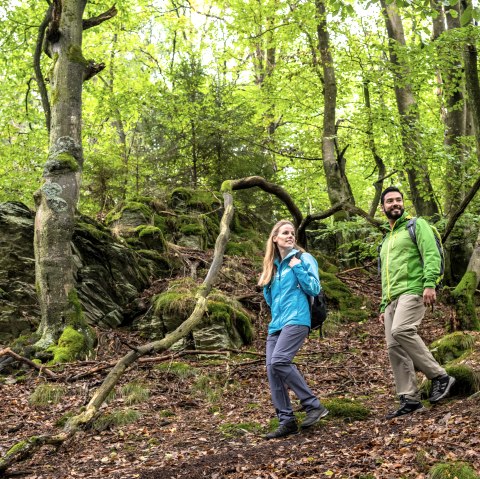 Wanderung in Rohren, © Eifel-Tourismus GmbH, Dominik Ketz