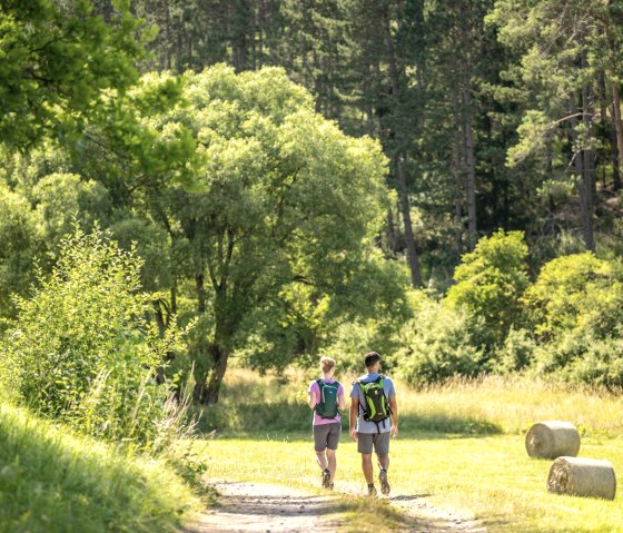 Guided hike, © Eifel Tourismus GmbH - Dominik Ketz