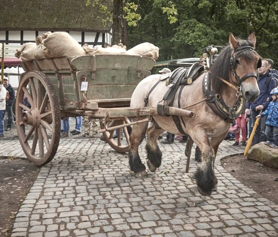 Ross Foto LVR, © LVR-Freilichtmuseum