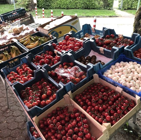 Großes Sortiment am Marktstand, © Rudi Schmitz