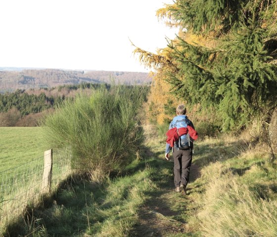 Wildnis-Trail, © Eric Neyrinck