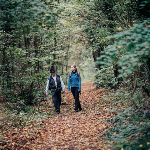 Guided hike, © Paul Meixner