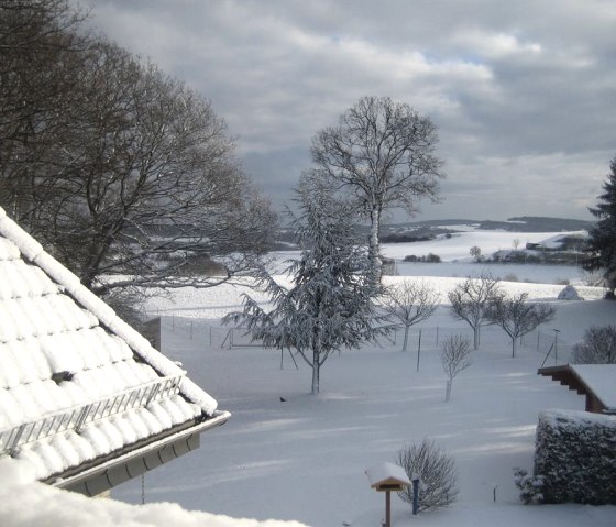 Winterlandschaft