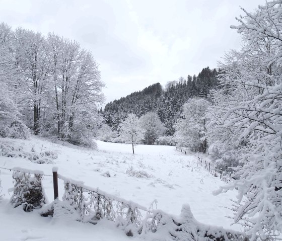 Eifelwinter1, © Nordeifel Tourismus GmbH & Ferienhaus eifel-mökki