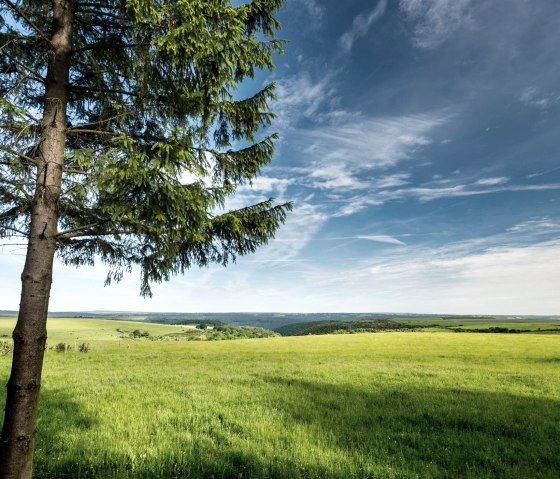 Dreiborn Umgebung, © Dominik Ketz & Nordeifel Tourismus GmbH