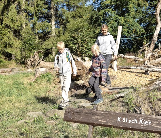 Balanciert durch den Walderlebnisparcours, © Eifel Tourismus GmbH, Tobias Vollmer - finanziert durch REACT-EU