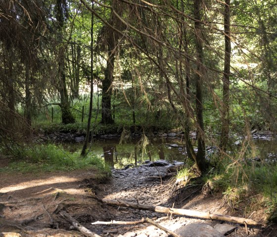 Stream in the forest, © eifel-tourismus-gmbh_tobias-vollmer