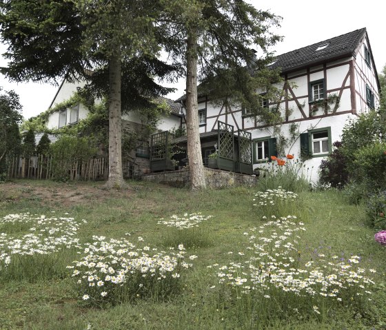 Garten_Haus, © Nordeifel Tourismus GmbH & Zum Goldenen Schaf