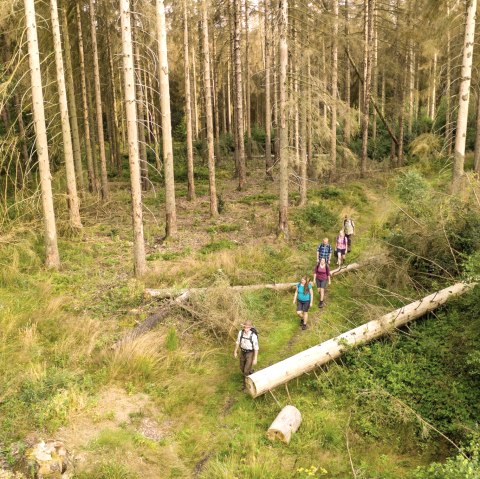 Wanderung mit einem Ranger